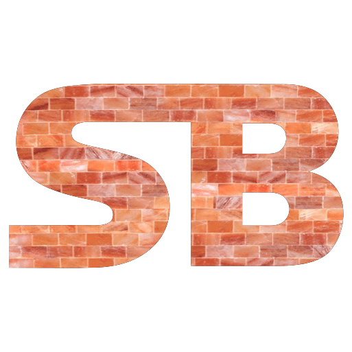 salt bricks logo